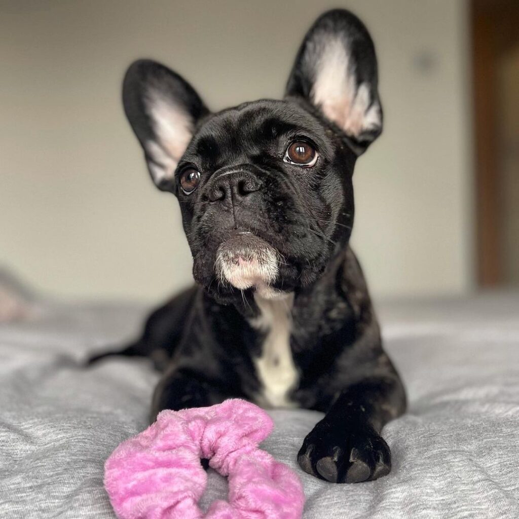 WhatsApp Image 2025 10 07 at 06.46.30