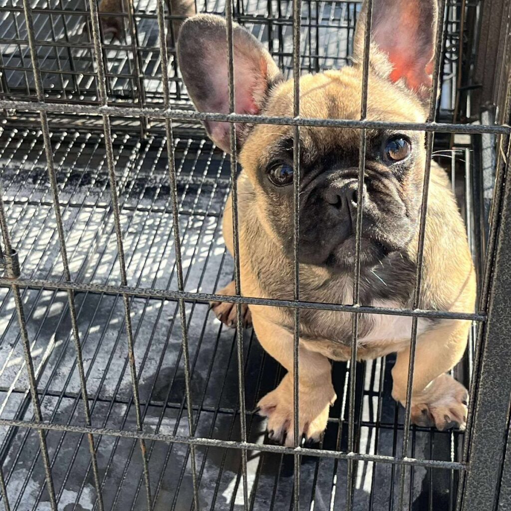 WhatsApp Image 2025 11 07 at 7.52.59 AM