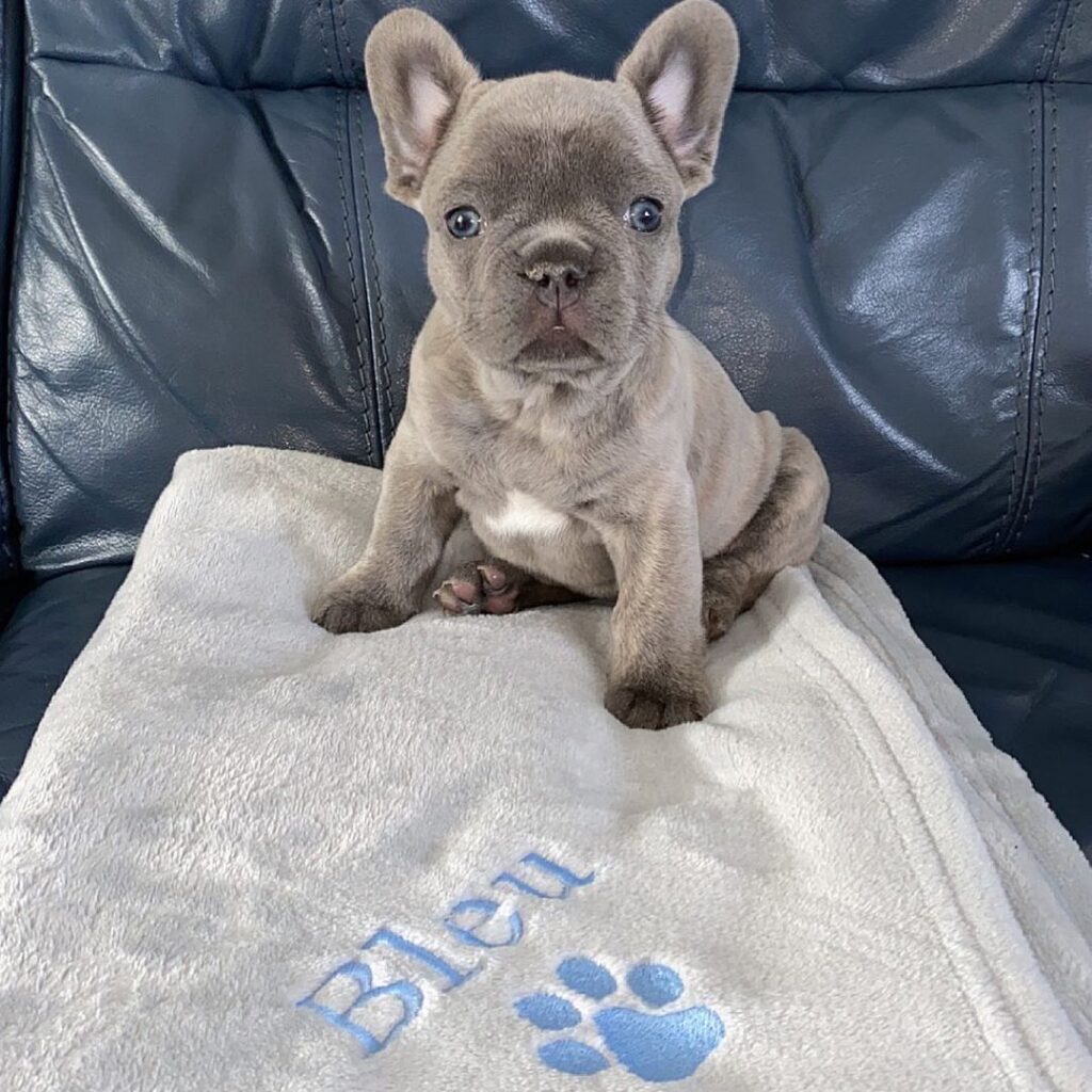 WhatsApp Image 2025 11 07 at 7.55.40 AM